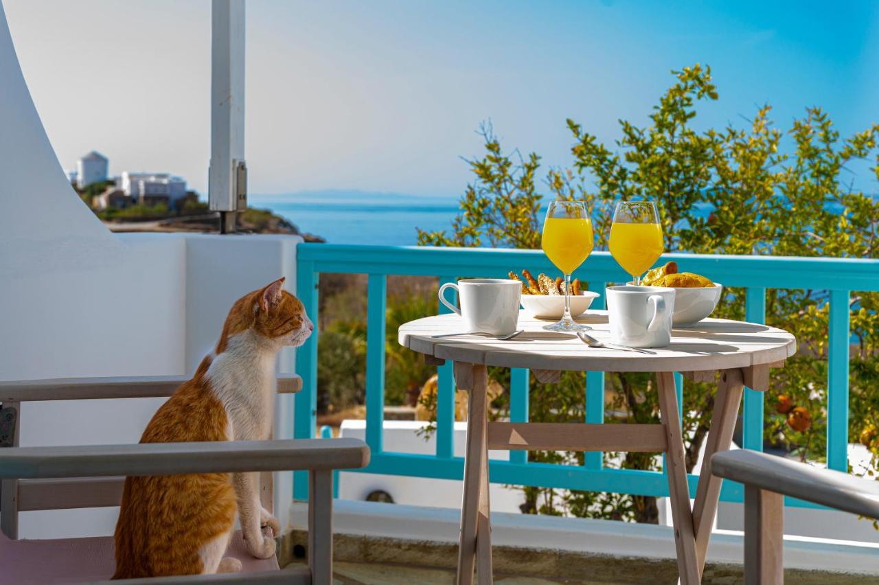 Aegean Dream Apartments Tinos Bagian luar foto